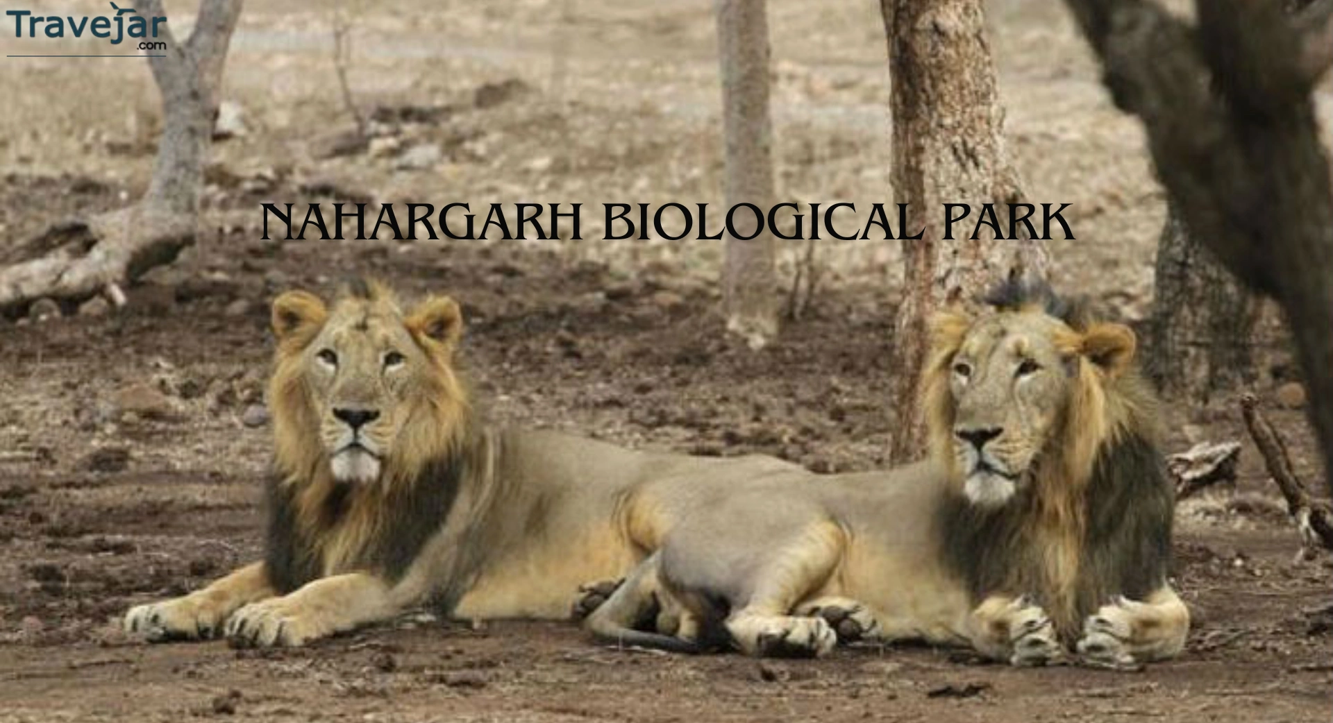 Nahargarh Biological Park